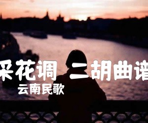 《采花调  二胡曲谱吉他谱》_云南民歌_G调 图片谱1张