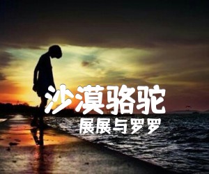 《沙漠骆驼吉他谱》_展展与罗罗_C调 图片谱3张