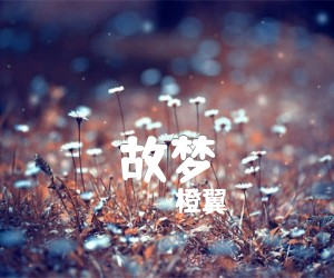 《故梦吉他谱》_橙翼_未知调 图片谱2张