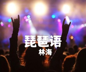 《琵琶语吉他谱》_林海_G调 图片谱2张