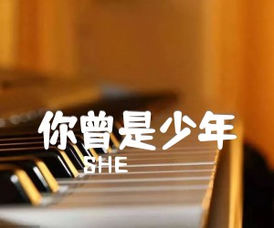 《你曾是少年吉他谱》_SHE_G调 图片谱2张