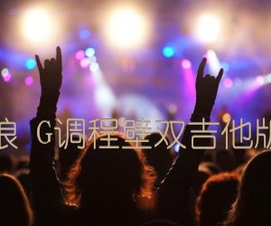 《恋恋风尘 老狼 G调程壁双吉他版（简单吉他）吉他谱》_群星_G调_吉他图片谱1张