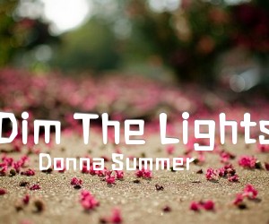 《Dim The Lights吉他谱》_Donna Summer 图片谱1张