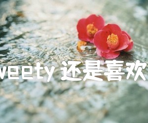 《sweety 还是喜欢你吉他谱》_sweety_B调 图片谱3张