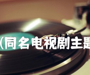 《你潇洒我漂亮(同名电视剧主题歌) 二胡曲谱吉他谱》_黄仁清 图片谱1张