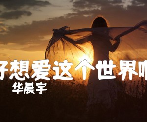 《好想爱这个世界啊吉他谱》_华晨宇_X调 图片谱4张