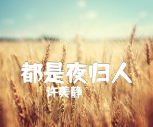 《都是夜归人吉他谱》_许美静__图片谱高清版 图片谱1张