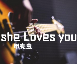 《she Loves you吉他谱》_甲壳虫_G调_吉他图片谱1张