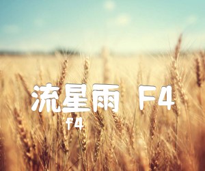 《流星雨（F4）吉他谱》_f4_E调 图片谱1张