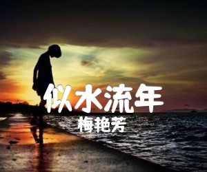 《似水流年吉他谱》_梅艳芳 图片谱1张