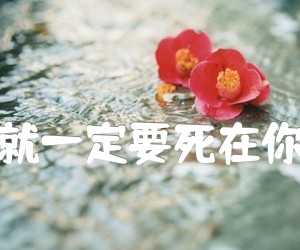 《卢家兴 要死就一定要死在你手里 吉他谱吉他谱》_莫西子诗_E调 图片谱3张