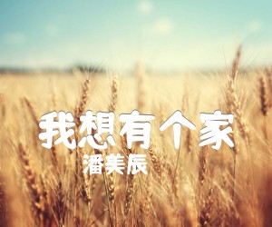 《我想有个家吉他谱》_潘美辰_G调 图片谱2张