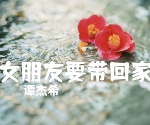 《女朋友要带回家吉他谱》_谭杰希_G调 图片谱2张