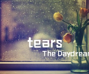 《tears吉他谱》_The Daydream 图片谱1张