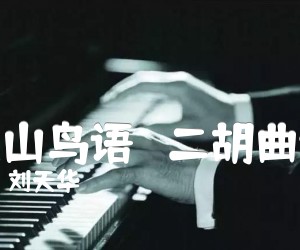 《空山鸟语   二胡曲谱吉他谱》_刘天华_吉他图片谱1张