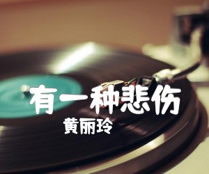 《有一种悲伤吉他谱》_黄丽玲_C调 图片谱2张