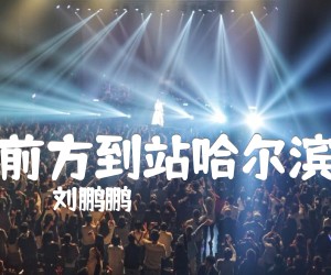 《前方到站哈尔滨吉他谱》_刘鹏鹏_C调图片谱__抖音歌曲_C调 图片谱5张