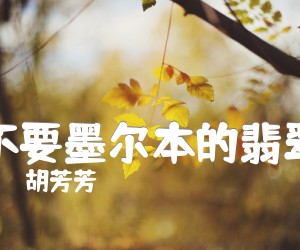 《不要墨尔本的翡翠吉他谱》_胡芳芳_C调 图片谱1张