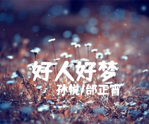 《好人好梦吉他谱》_孙悦/邰正宵_G调 图片谱2张