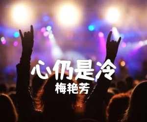 《心仍是冷吉他谱》_梅艳芳 文字谱