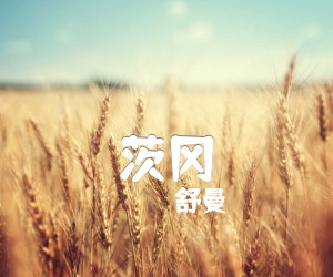 《茨冈吉他谱》_舒曼_G调 图片谱1张