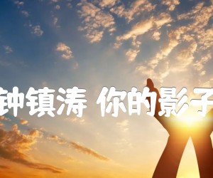 《钟镇涛 你的影子吉他谱》_钟镇涛_C调_吉他图片谱2张