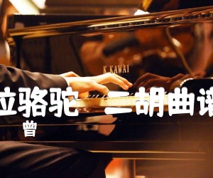 《拉骆驼   二胡曲谱吉他谱》_曾尋 图片谱1张