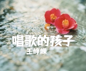 《王峥嵘 唱歌的孩子吉他谱》_王峥嵘_吉他图片谱3张