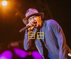 《自由吉他谱》_张震岳 文字谱