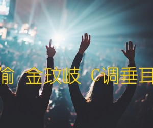 《岁月神偷 金玟岐 C调垂耳吉他版吉他谱》_群星_C调 图片谱1张