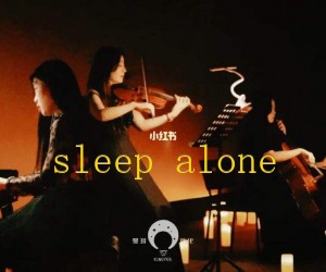 《sleep alone吉他谱》_陈奕迅_G调 图片谱1张