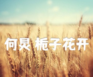 《何炅 栀子花开吉他谱》_何炅_D调 图片谱3张