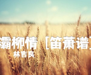 《灞柳情  [笛萧谱]吉他谱》_林吉良_C调 图片谱1张