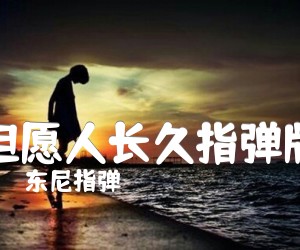 《但愿人长久吉他谱》_东尼指弹_独奏 图片谱1张