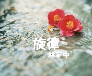 《旋律吉他谱》_林宇中 文字谱