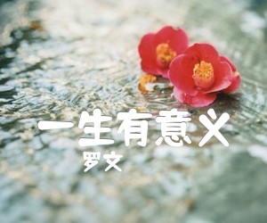 《一生有意义吉他谱》_罗文_C调 图片谱2张