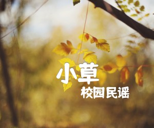 《小草吉他谱》_校园民谣_简单版_C调_吉他图片谱2张