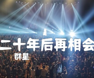 《二十年后再相会吉他谱》_群星_F调 图片谱1张