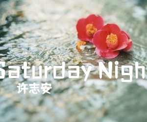 《Saturday Night吉他谱》_许志安 文字谱