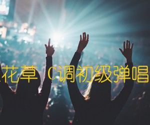 《兰花草 C调初级弹唱版吉他谱》_群星_C调 图片谱1张