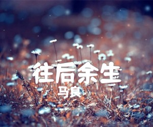 《往后余生吉他谱》_马良_D调 图片谱3张