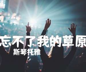 《忘不了我的草原吉他谱》_斯琴托雅_A调 图片谱1张