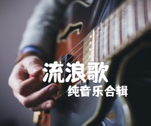 《流浪歌吉他谱》_纯音乐合辑_G调 图片谱2张