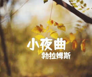 《小夜曲吉他谱》_勃拉姆斯_C调_吉他图片谱1张