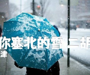 《我爱你塞北的雪 二胡曲谱吉他谱》_刘锡津_B调_吉他图片谱1张