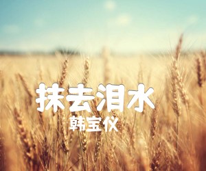 《抹去泪水（）吉他谱》_韩宝仪_C调 图片谱5张