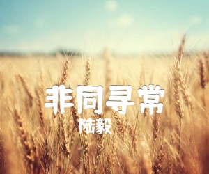 《非同寻常吉他谱》_陆毅_吉他图片谱1张