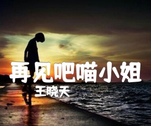 《再见吧喵小姐吉他谱》_王晓天_C调 图片谱2张