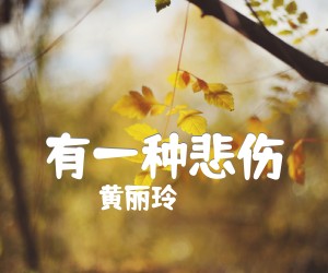 《有一种悲伤吉他谱》_黄丽玲_C调 图片谱2张