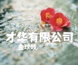 《才华有限公司》